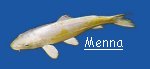 "Menna"