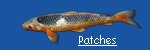 "Patches"